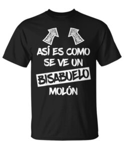 Great Great Grandpa Funny Gift Best Great Grandpa Unisex T-Shirt