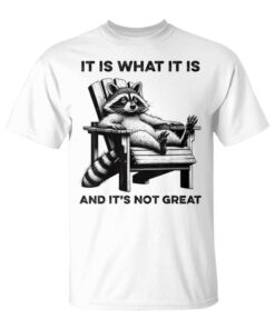 It Is What It Is And It Isn't A Big Funny Raccoon Unisex T-Shirt