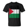 Palestine Flagintage Design Palestinian Gift Unisex T-Shirt