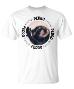 Pedro Dancing Raccoon Pedro Pedro Dancing Raccoon Meme Unisex T-Shirt