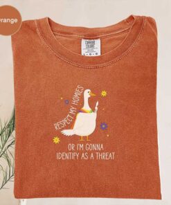 Silly Goose Ally Pride T-Shirt With Queer Rights